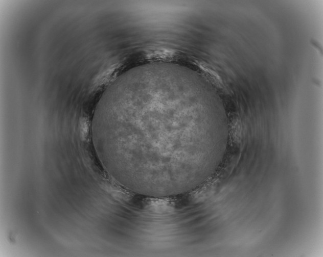 X0000091190709200708161551