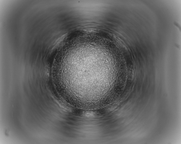 X0000091190710200708161551