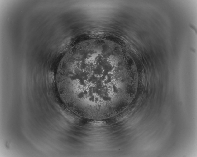 X0000091190711200708161551
