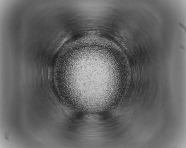 X0000091190712200708161551