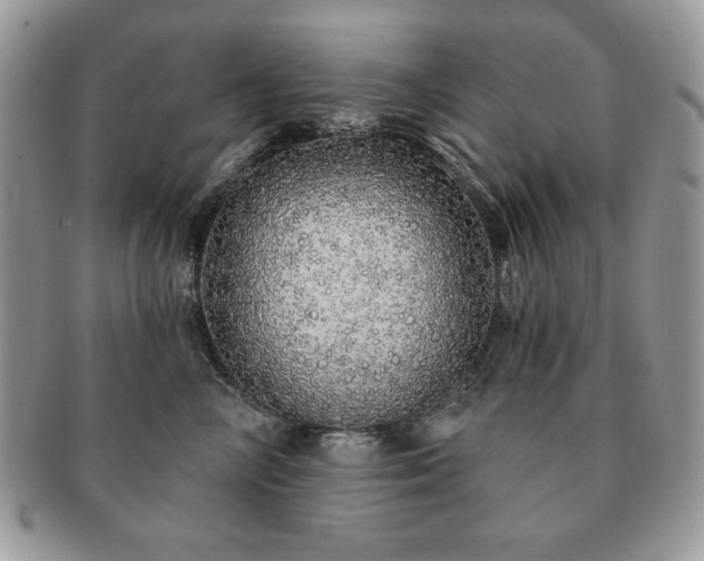 X0000091190714200708161551