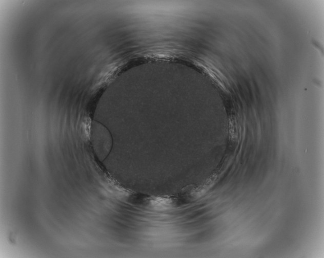 X0000091190718200708161551