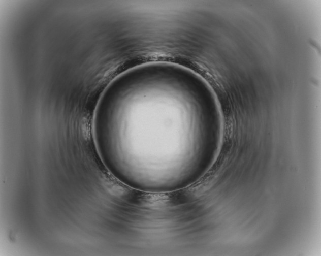 X0000091190719200708161551