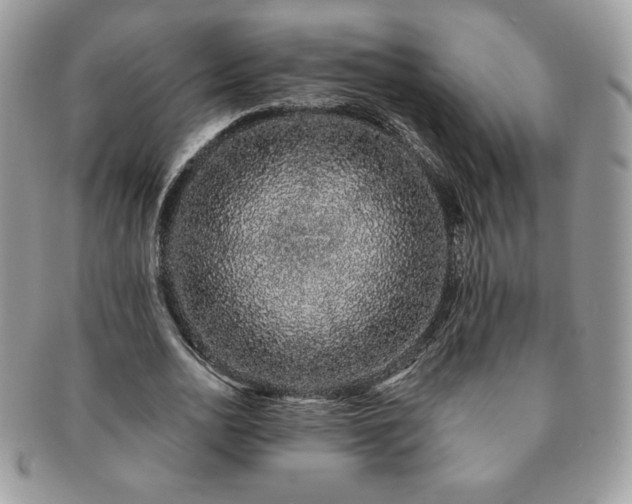 X0000091190726200708161550