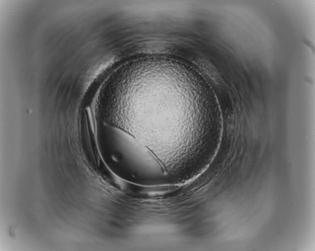 X0000091190727200708161550
