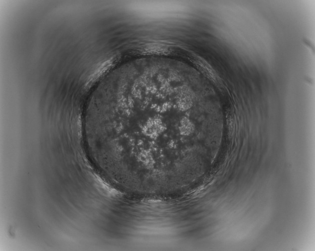 X0000091190729200708161550