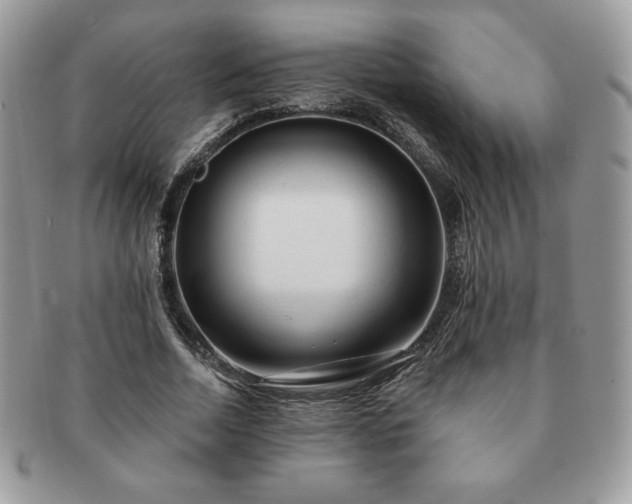 X0000091190730200708161550