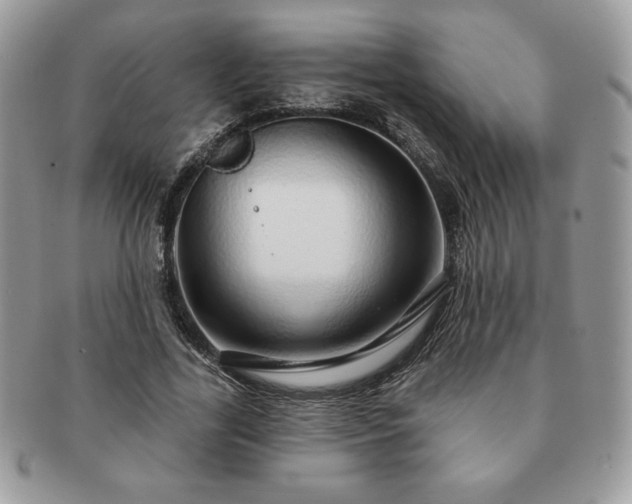 X0000091190731200708161550
