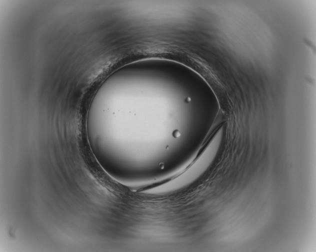 X0000091190732200708161550