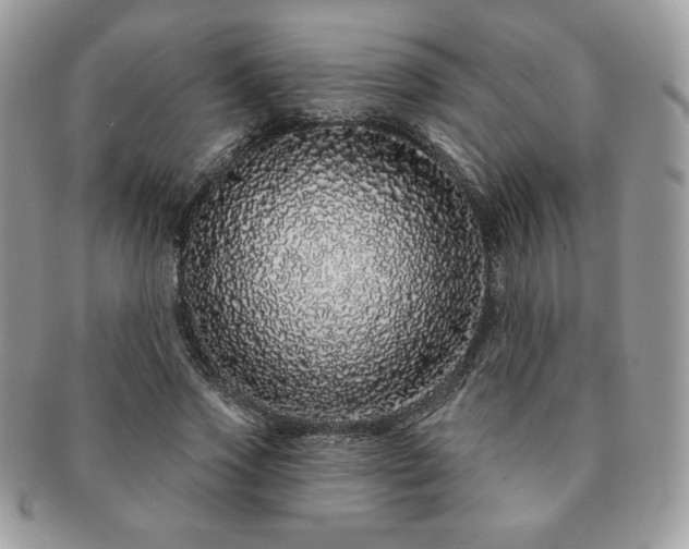 X0000091190733200708161550