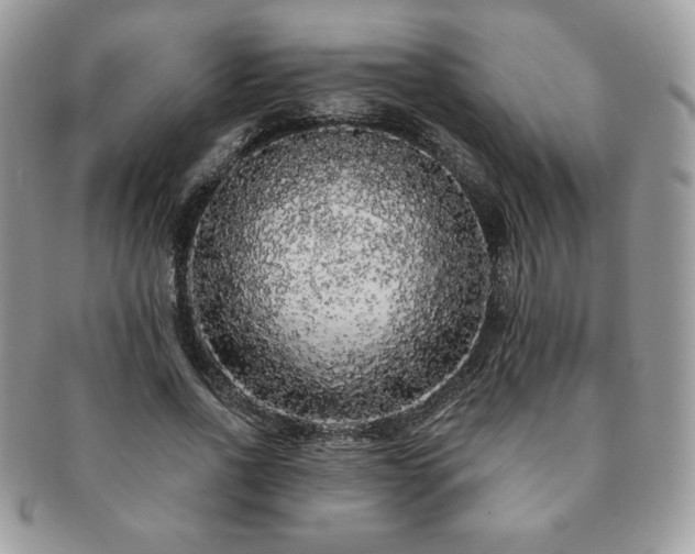 X0000091190734200708161550