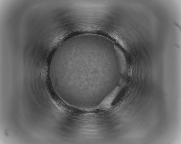 X0000091190736200708161550