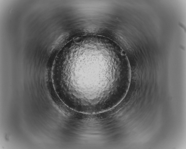X0000091190738200708161550