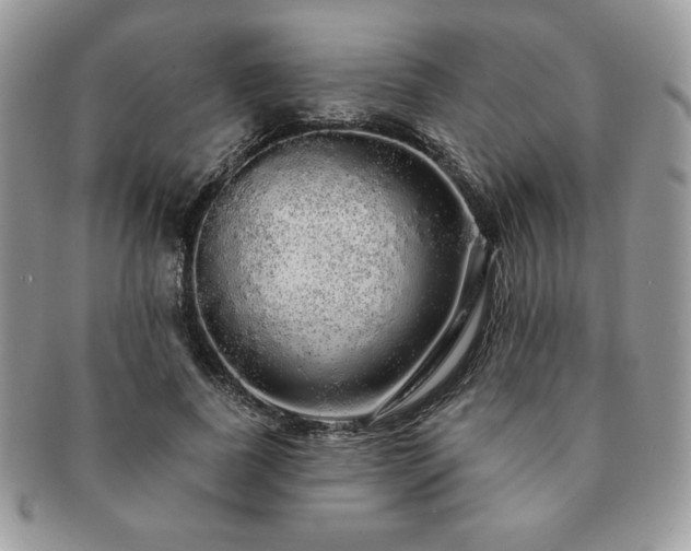 X0000091190739200708161550