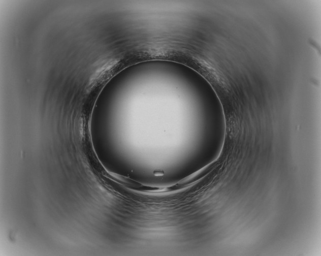 X0000091190740200708161550