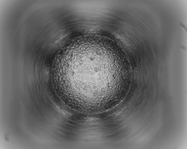 X0000091190741200708161550