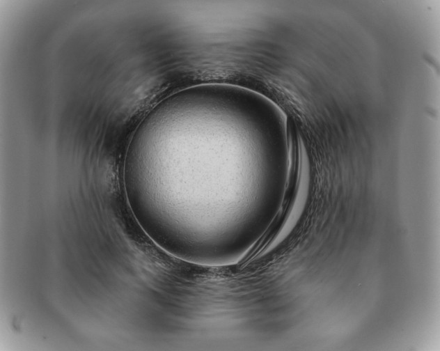 X0000091190743200708161550