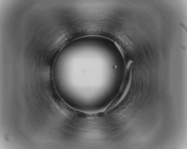 X0000091190744200708161550