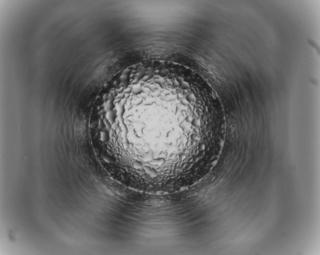 X0000091190745200708161550