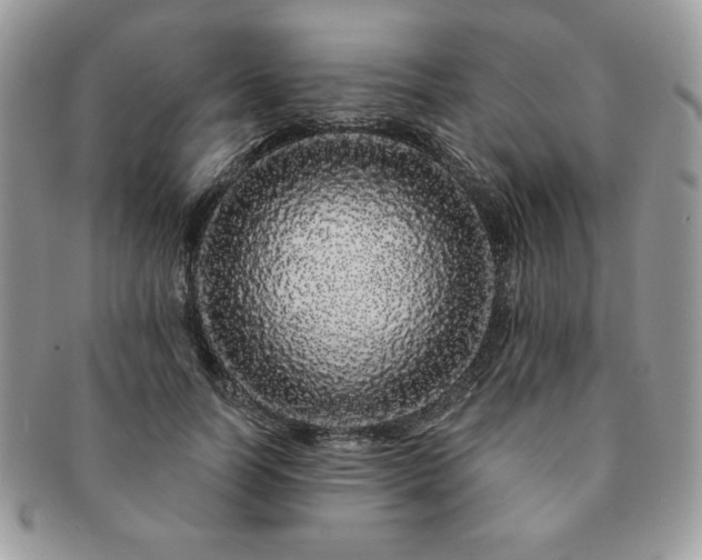 X0000091190746200708161550