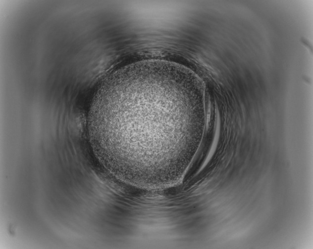 X0000091190747200708161550