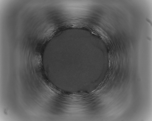 X0000091190748200708161550