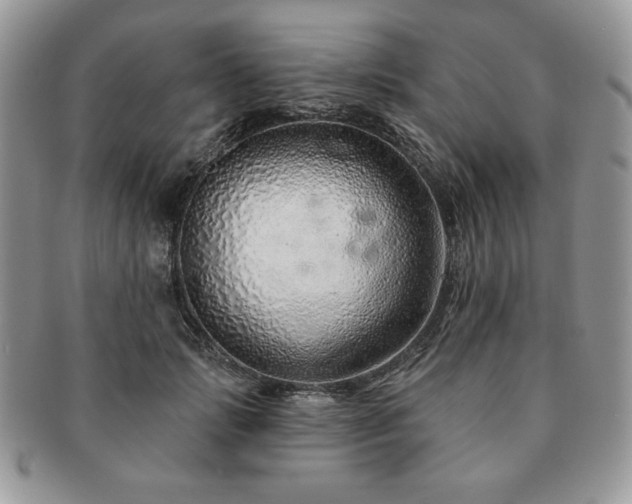 X0000091190749200708161550