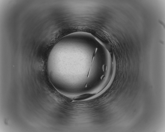 X0000091190750200708161550
