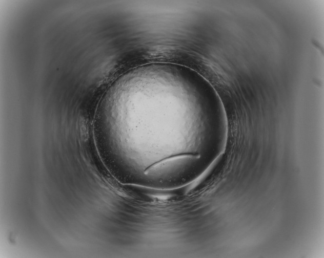 X0000091190751200708161550