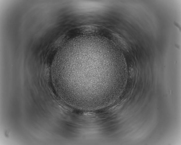 X0000091190753200708161550