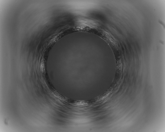 X0000091190754200708161550