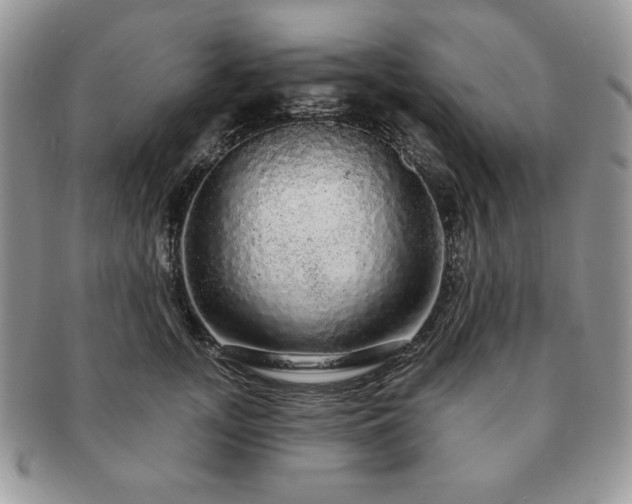 X0000091190755200708161550
