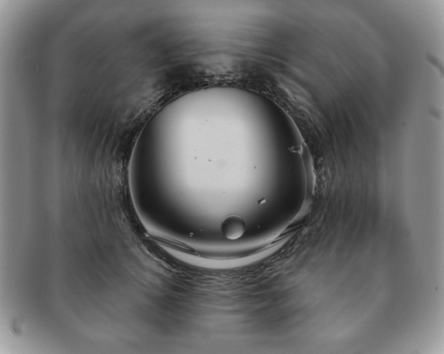 X0000091190756200708161550