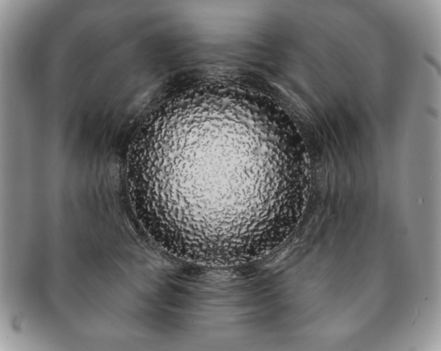 X0000091190757200708161550