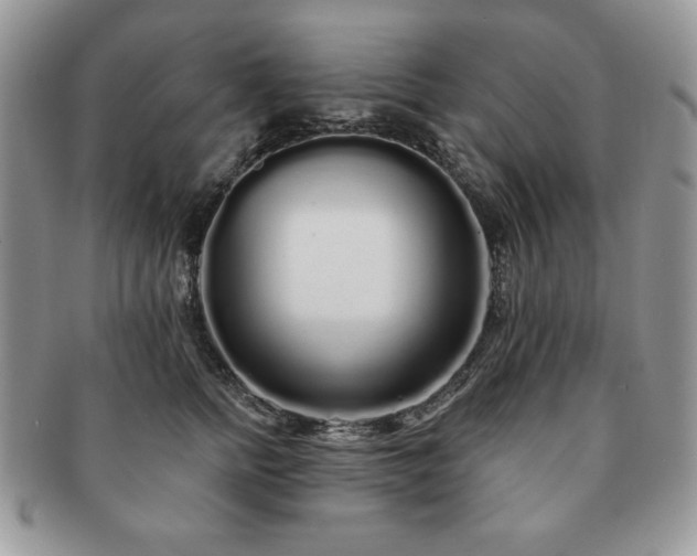 X0000091190758200708161550