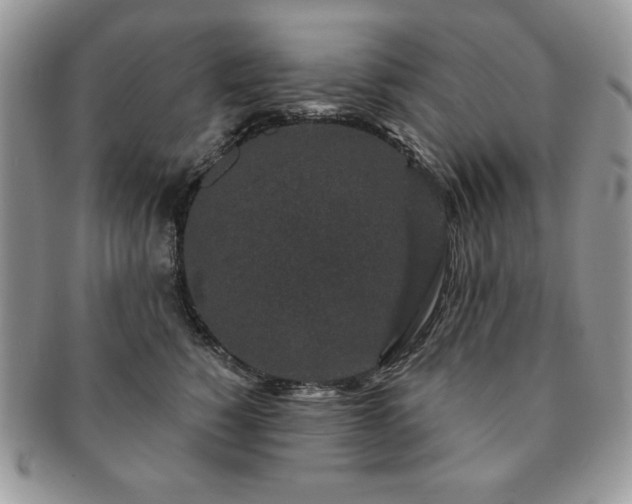 X0000091190760200708161550