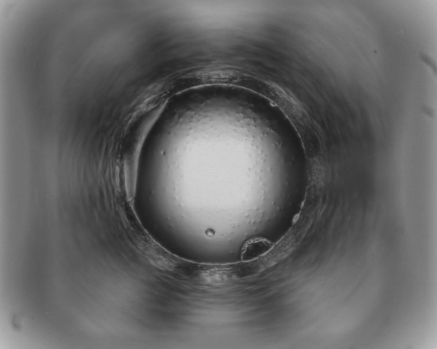 X0000091190761200708161550