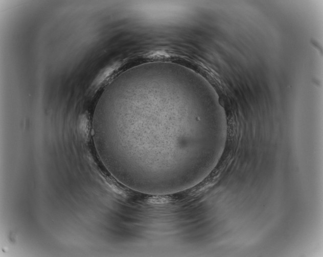 X0000091190762200708161550