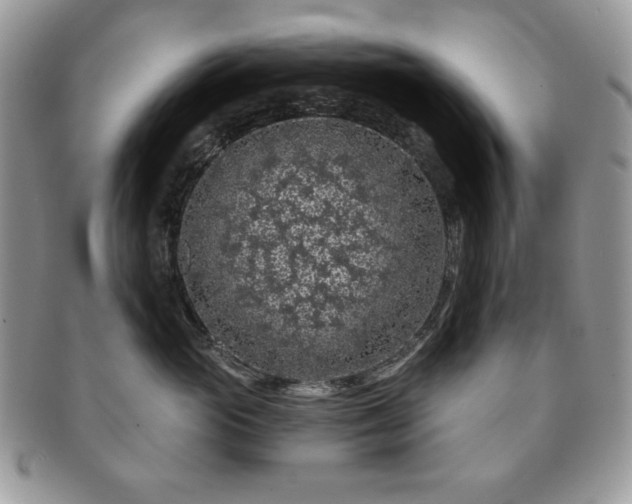 X0000091190765200708161550