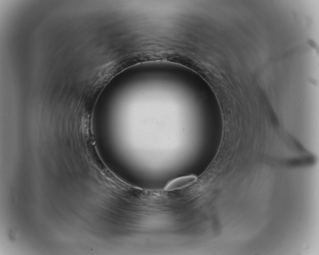 X0000091190768200708161551