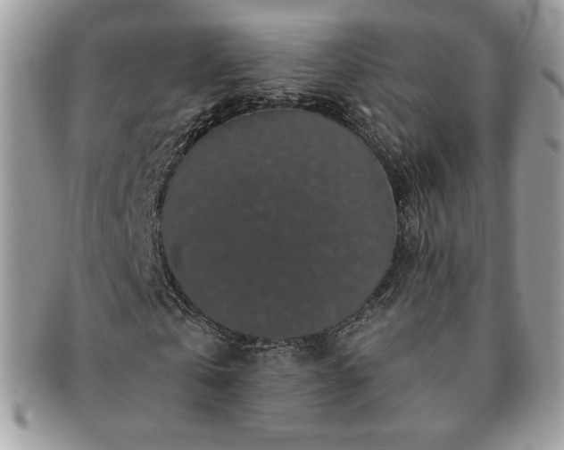 X0000091190769200708161550