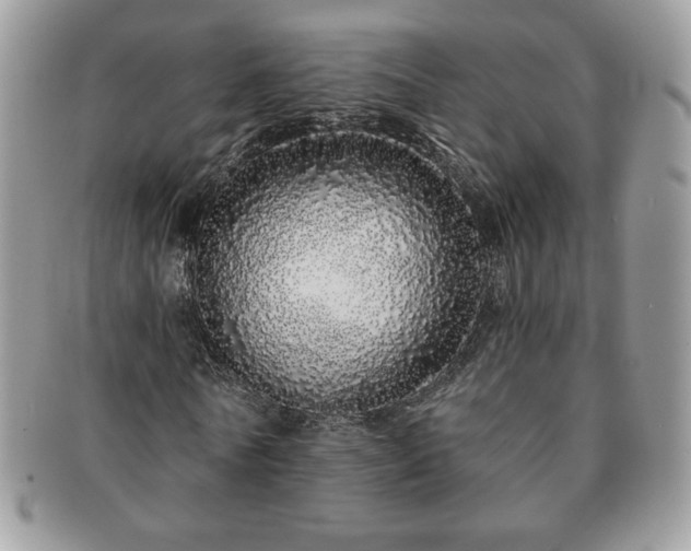 X0000091190770200708161550