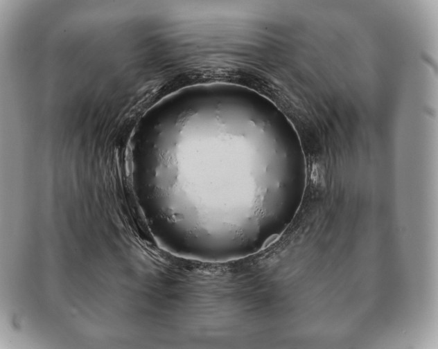 X0000091190771200708161550
