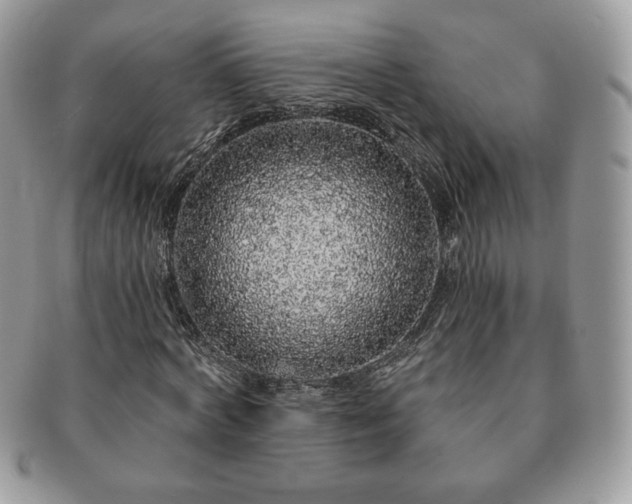 X0000091190772200708161550
