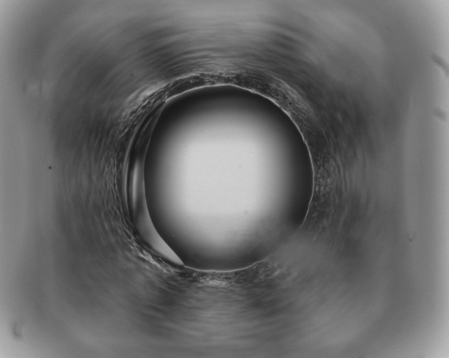 X0000091190773200708161550