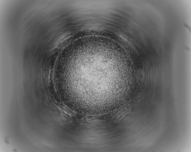 X0000091190774200708161550