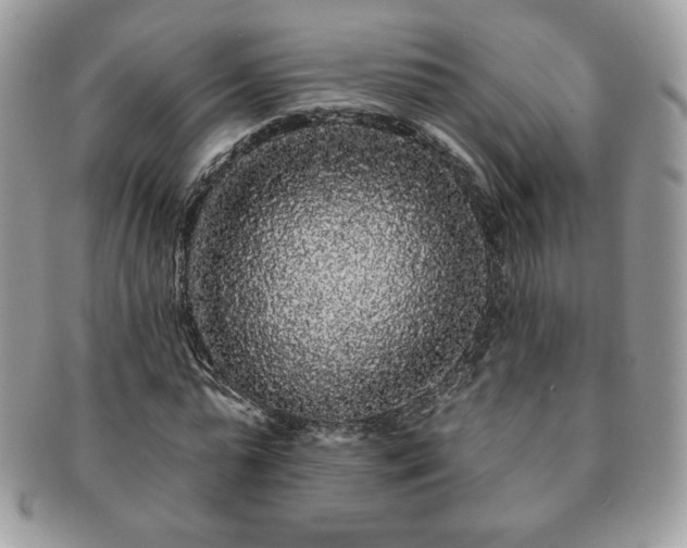X0000091190775200708161550