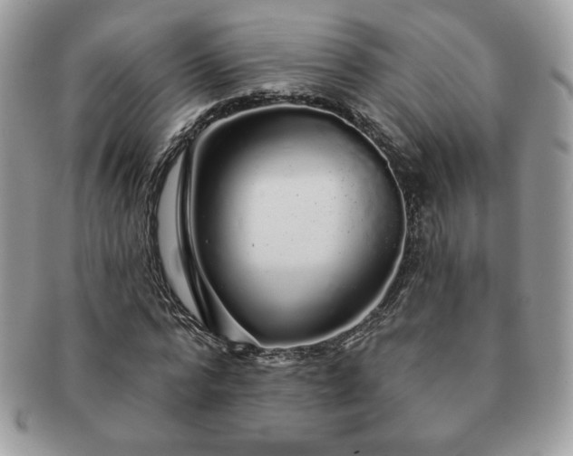 X0000091190776200708161550