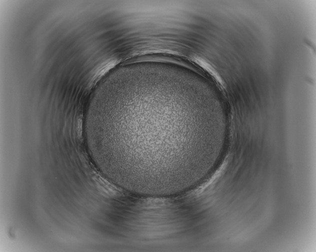 X0000091190777200708161550