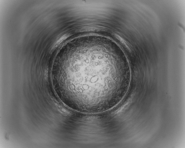 X0000091190778200708161550